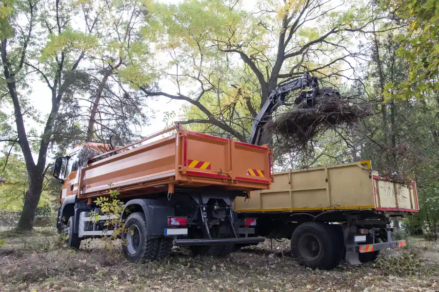 Experienced Hauling Services Lawrenceville, GA Experienced Hauling Services Lawrenceville, GA