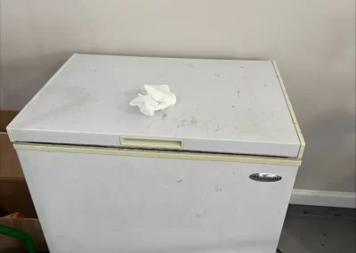 Reputable Local Junk Removal