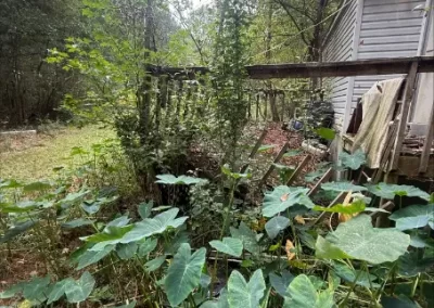 Trusted Yard Waste Removal